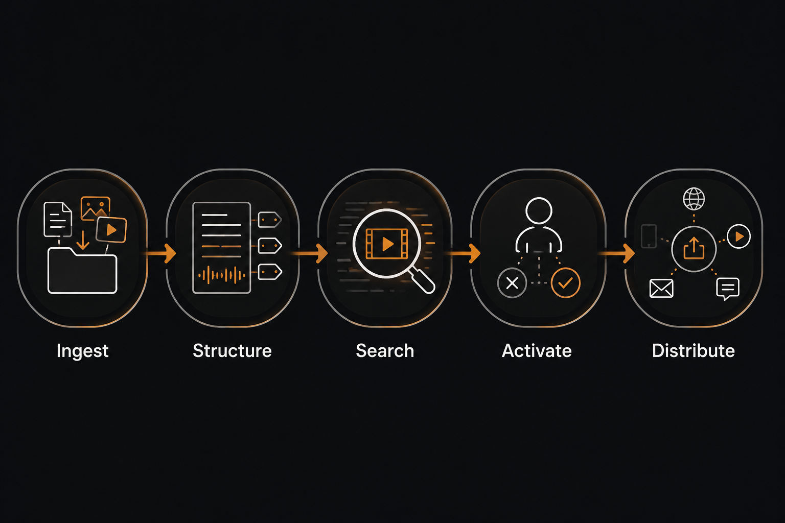 A five-step workflow diagram labeled Ingest, Structure, Search, Activate, and Distribute